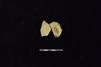 陶片藏品圖，第2張